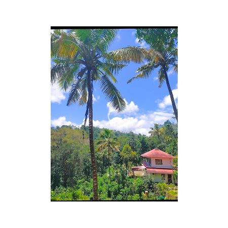 Athens Cottage Munnar Ngoại thất bức ảnh
