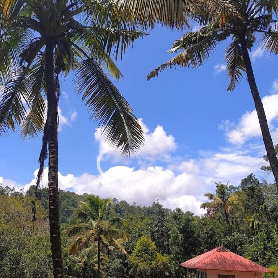 Athens Cottage Munnar Ngoại thất bức ảnh