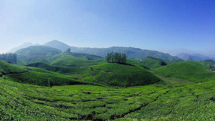 Athens Cottage Munnar Ngoại thất bức ảnh