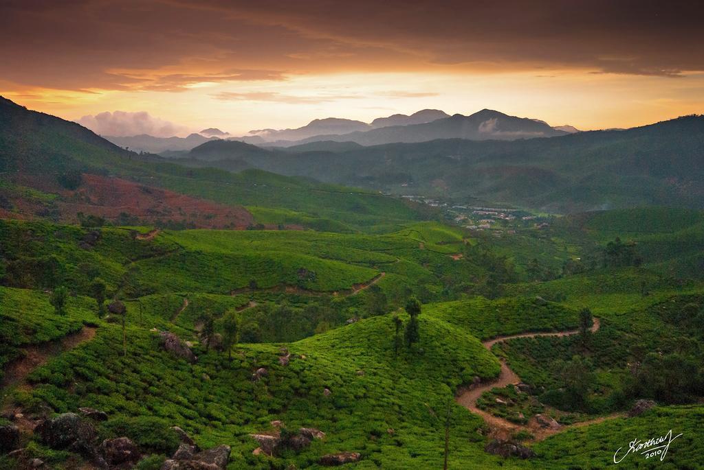Athens Cottage Munnar Ngoại thất bức ảnh