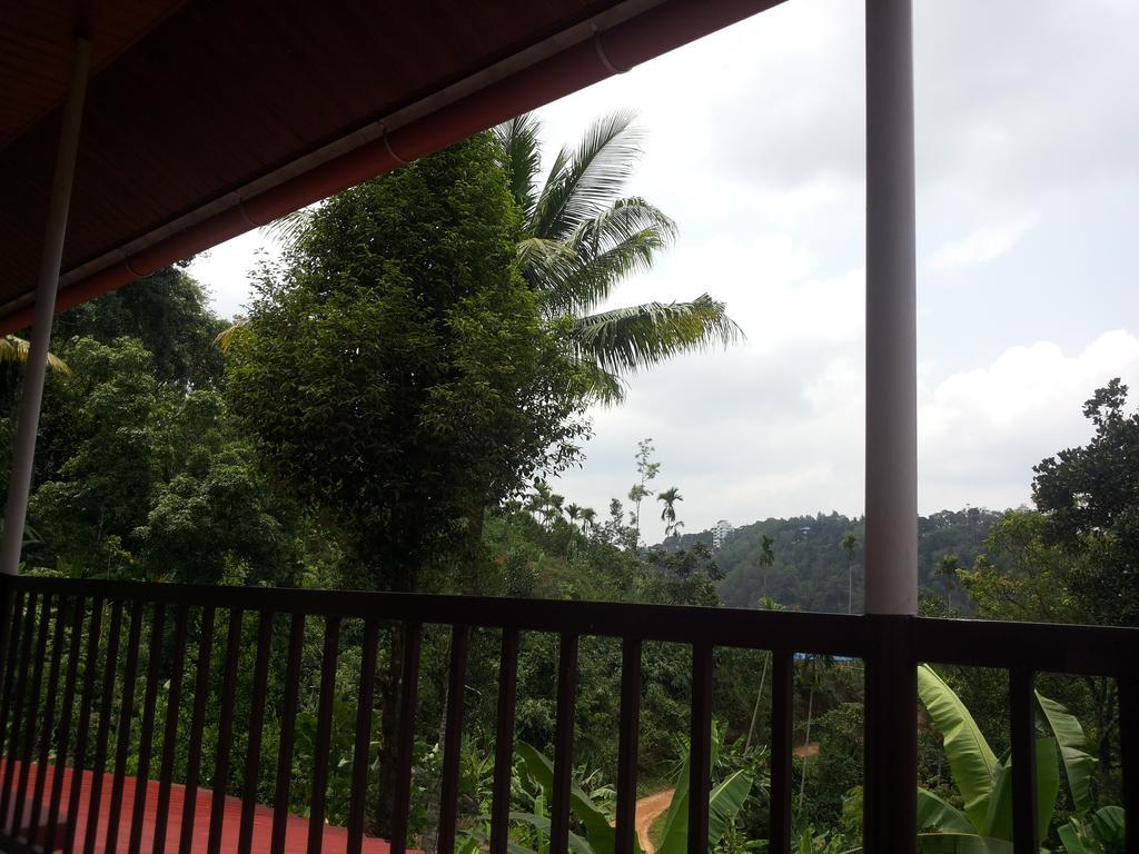 Athens Cottage Munnar Ngoại thất bức ảnh