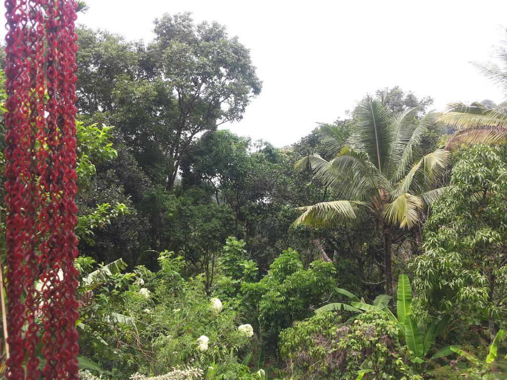 Athens Cottage Munnar Ngoại thất bức ảnh