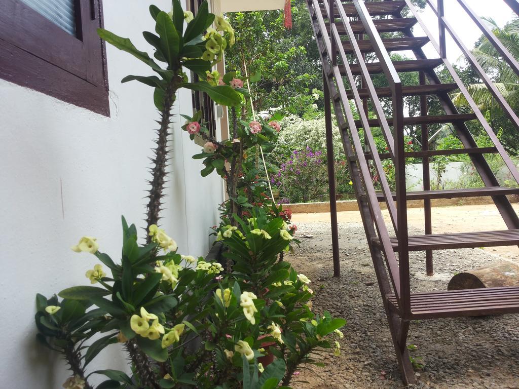 Athens Cottage Munnar Ngoại thất bức ảnh