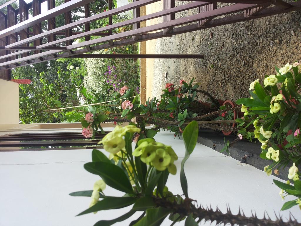 Athens Cottage Munnar Ngoại thất bức ảnh