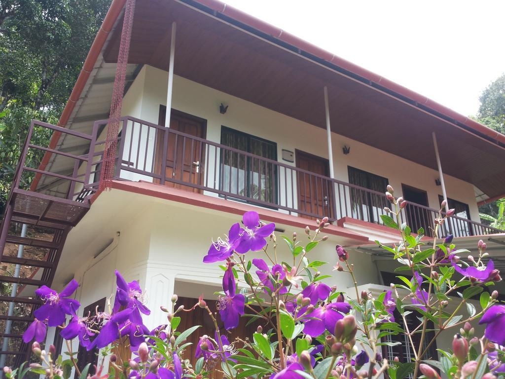 Athens Cottage Munnar Ngoại thất bức ảnh